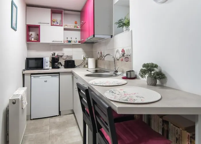 Διαμέρισμα Magic House Μπρασόβ